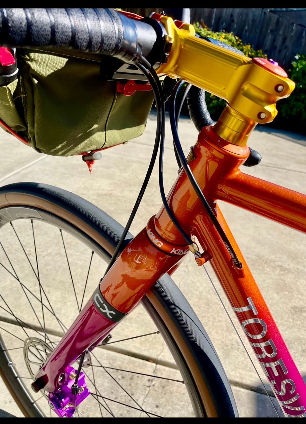 Customer photo review of Bike Mount