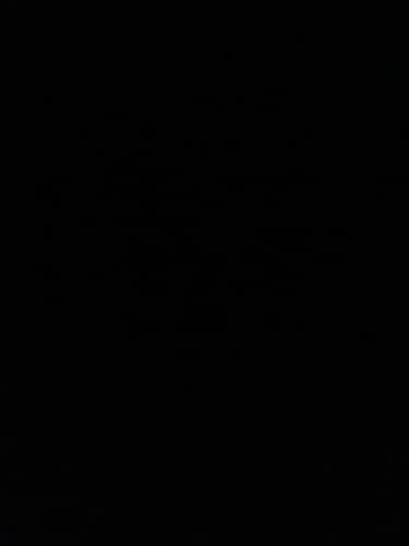 Customer photo review of Sweet Aromatic LooseLeaf Wraps (40 Count)