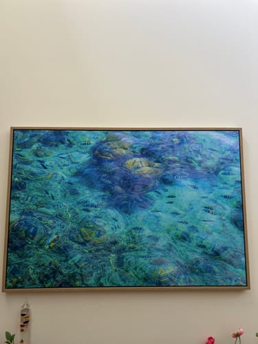 Customer photo review of Aqua School