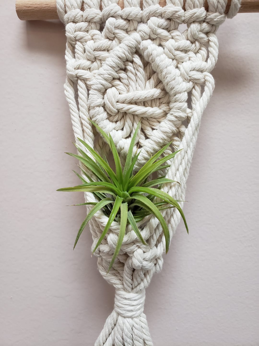 Customer photo review of Ionantha Peach