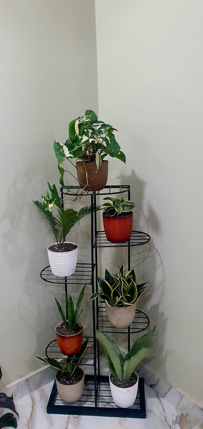 Customer photo review of Plant Stand Metal 6 Tier 7 Potted Multiple Flower Pot Holder Shelf Indoor Outdoor Planter Display Shelving Unit For Patio Garden Corner