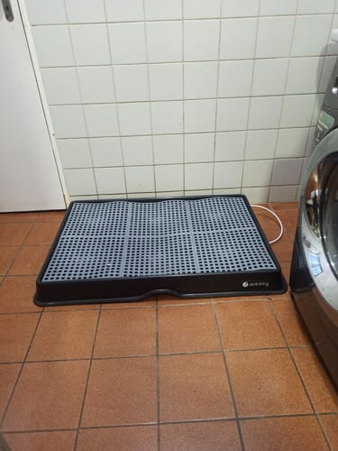 Customer photo review of Weasy Cão