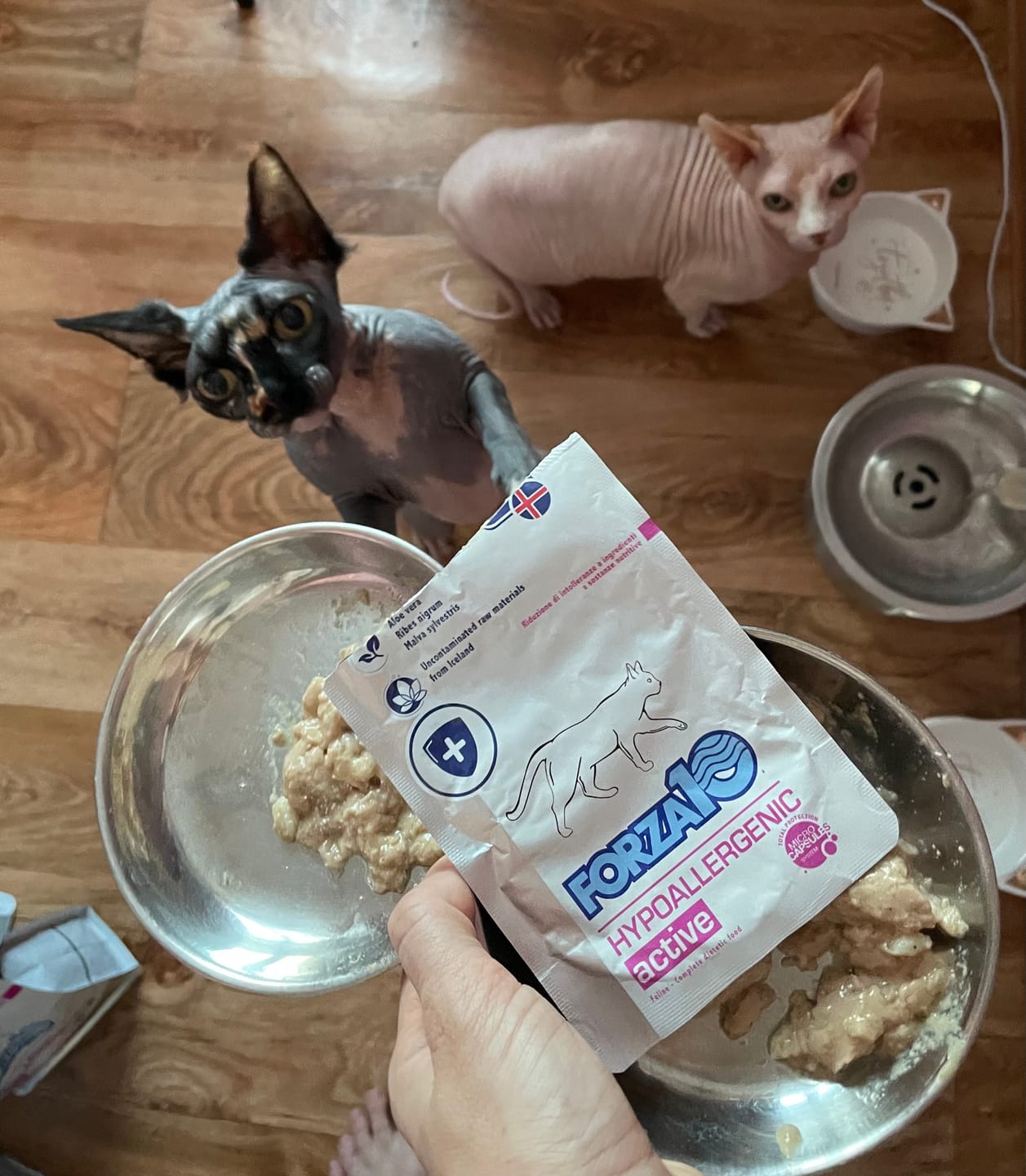 Customer photo review of Hypoallergenic ActiWet konservi kaķiem ar zivi