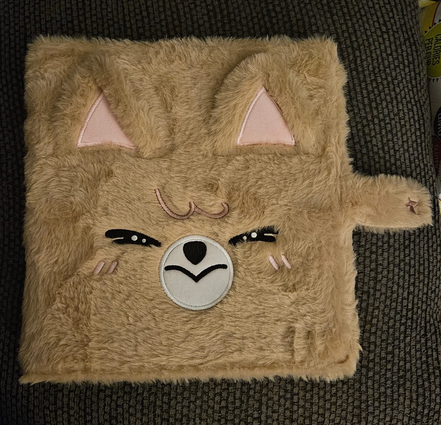 Customer photo review of [PRE-ORDER] FOXI.NY PLUSH BINDER - A5