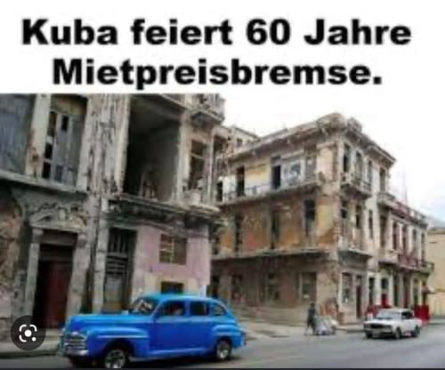 Customer photo review of POLOSHIRT BUBEN / EDLER STICK • FREE ASSANGE