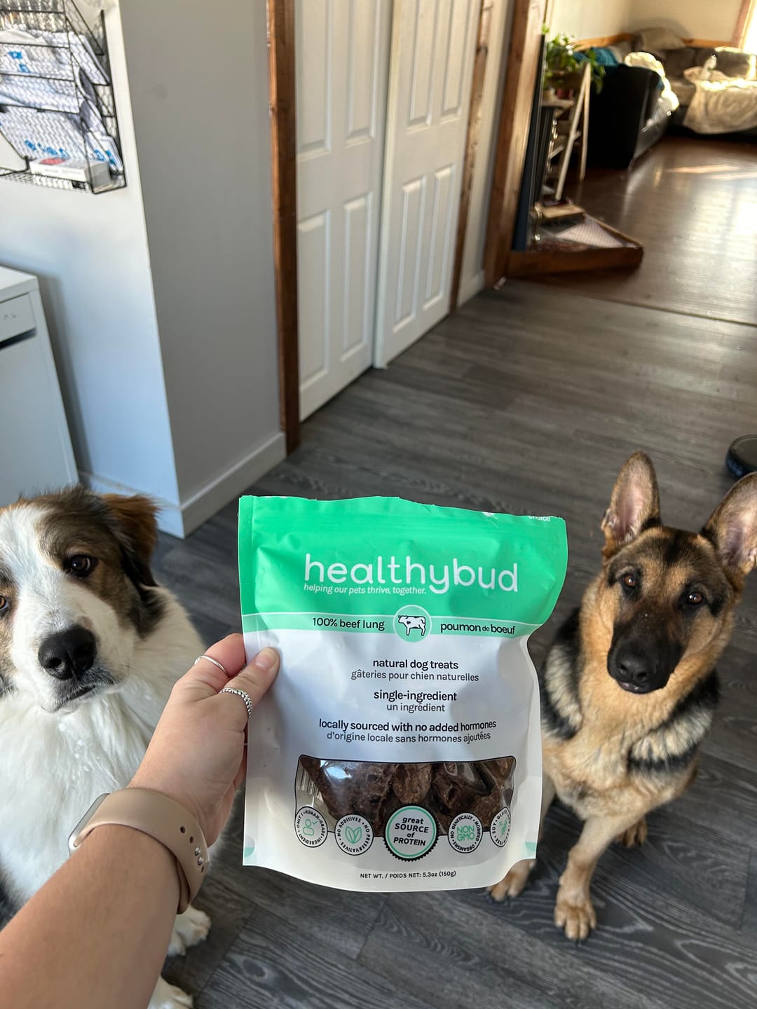 Customer photo review of Beef Lung Wafers