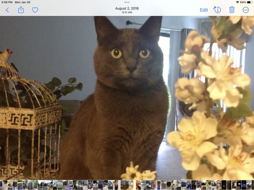 Customer photo review of Stainless Steel Replacement Filters