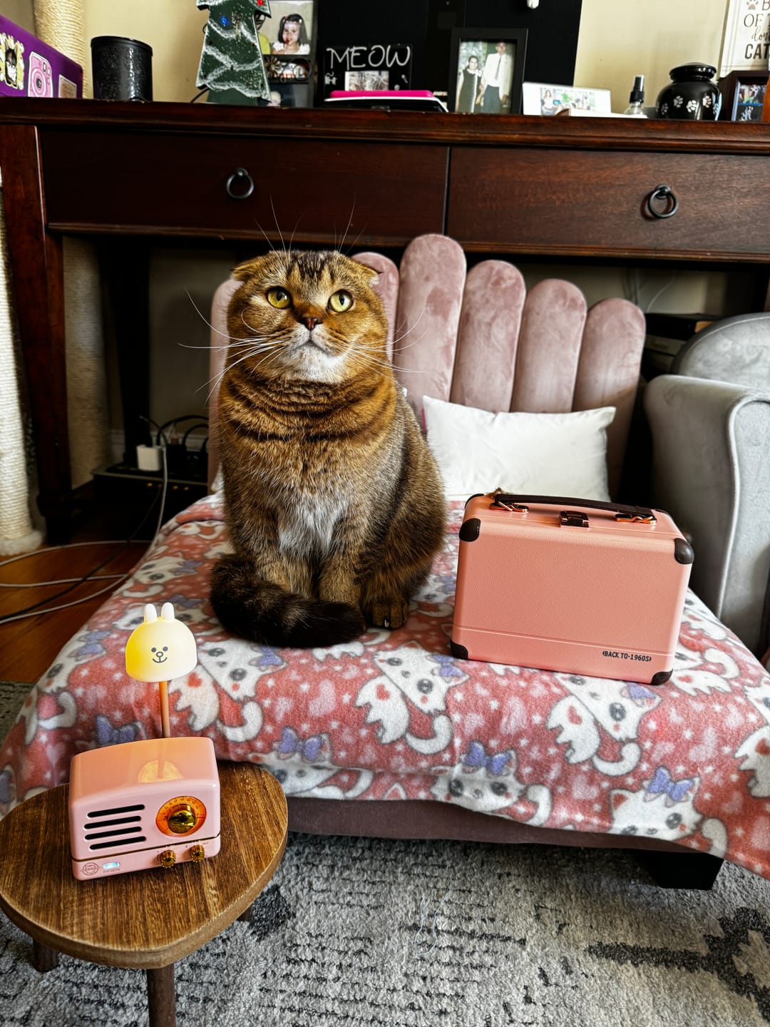 Customer photo review of MUZEN OTR Metal Wireless Portable FM Radio Bluetooth Speaker