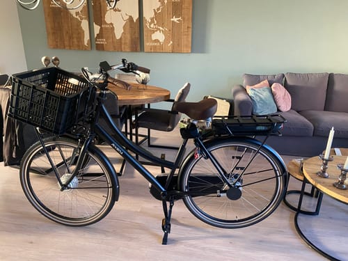 Customer photo review of E-Cargo N3