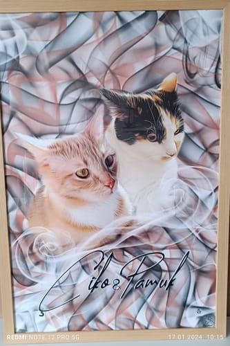 Customer photo review of Rauch Pawtrait