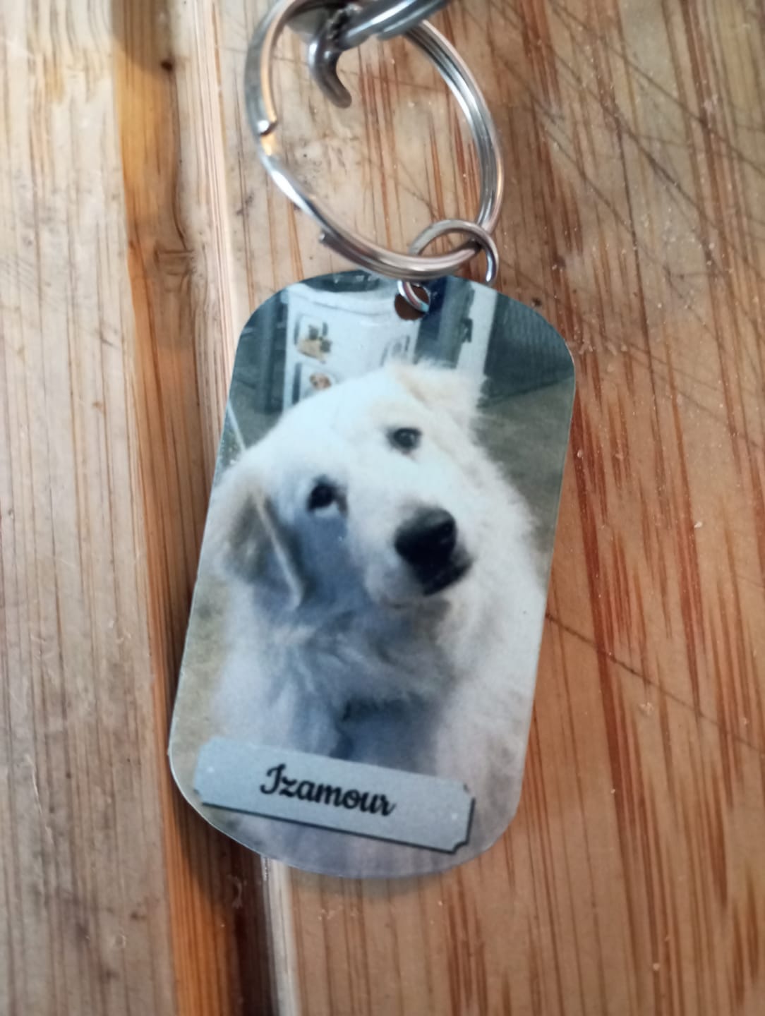 Customer photo review of Photo double face - Porte-clés Dog Tag personnalisé