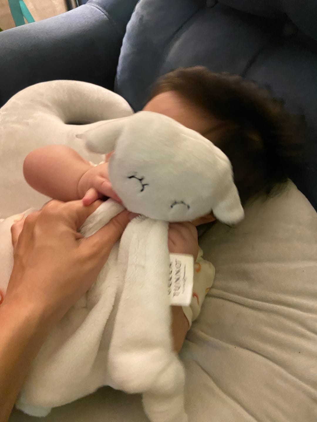 Customer photo review of Bella Tunno x Taking Cara Babies Lovey Lamb