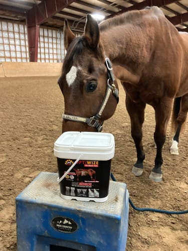 Customer photo review of OptiWize Collagen +Plus Equine 8lbs