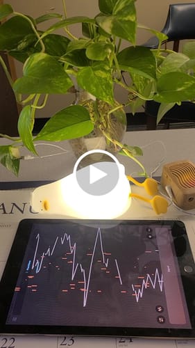 Customer video review of PlantWave