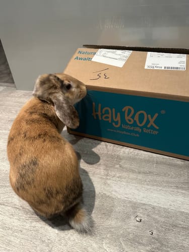 Customer photo review of Taster Pack