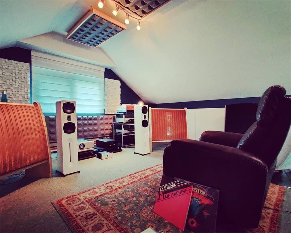 Customer photo review of Novus N6T 2-Way Dual 6.5" Tower/Floorstanding Speaker