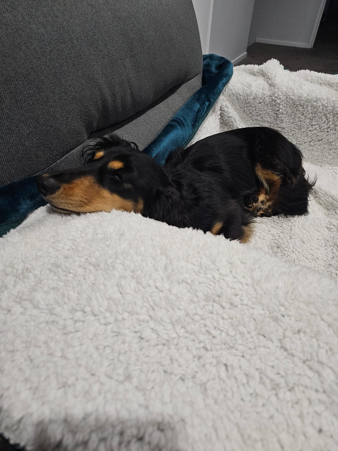 Customer photo review of Waterproof Splash blanket™ - Emerald Green The OG