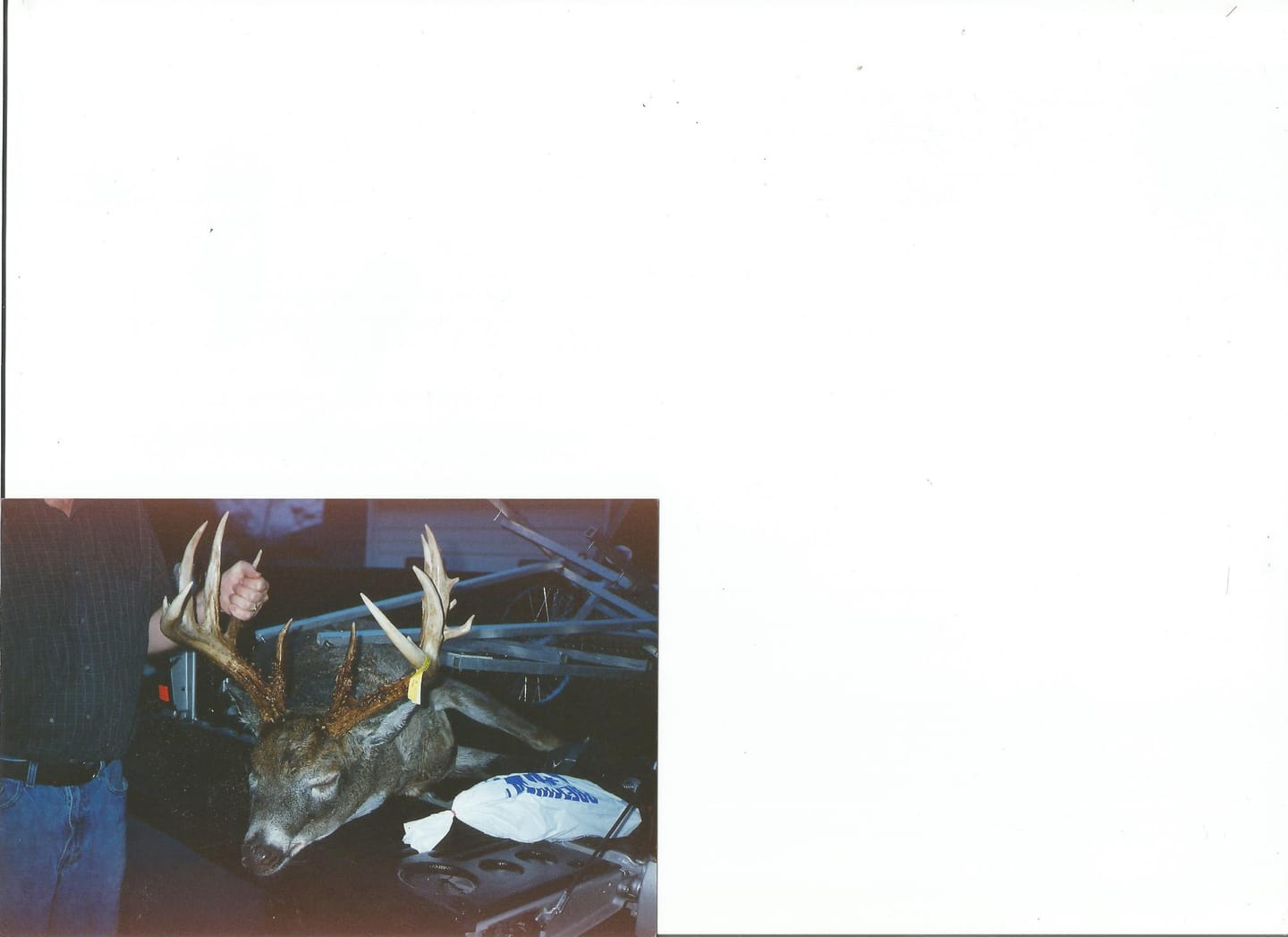Customer photo review of Treestand Backpack Carrying Straps
