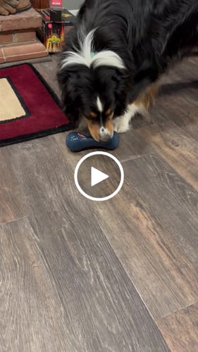 Customer video review of Freezstick Bundle 90 Gram Fillers