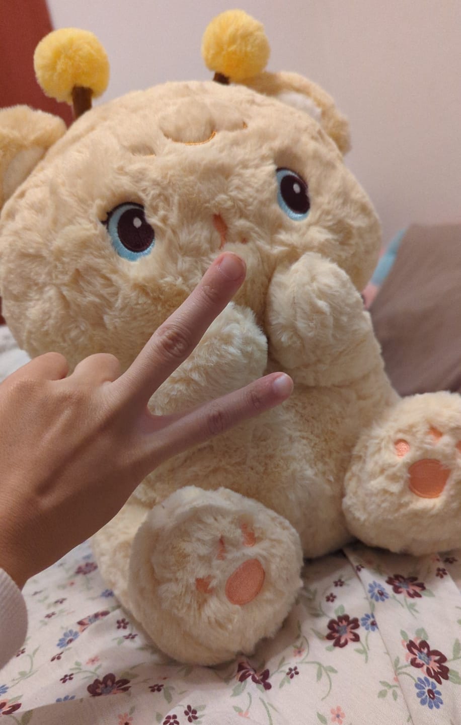 Customer photo review of Beary Bee Plush  (4 SIZES)