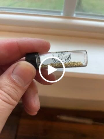 Customer video review of *TROGO* Flawless '$5,000 GOLD NUGGET DISCOVERY' - Gold Panning Paydirt