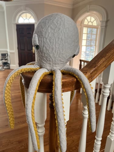 Customer photo review of The Octopus