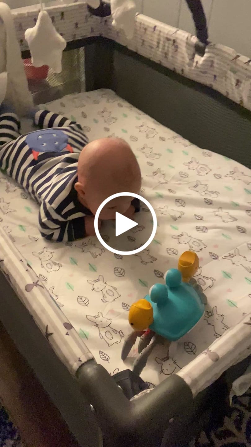 Customer video review of The Crawly Crab™
