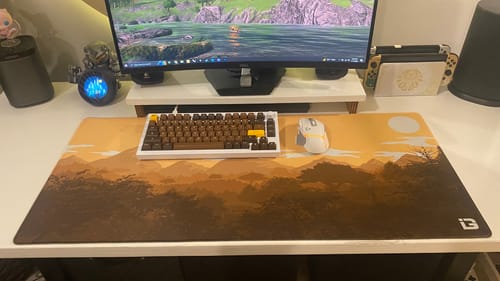 Customer photo review of Gulls - Sepia