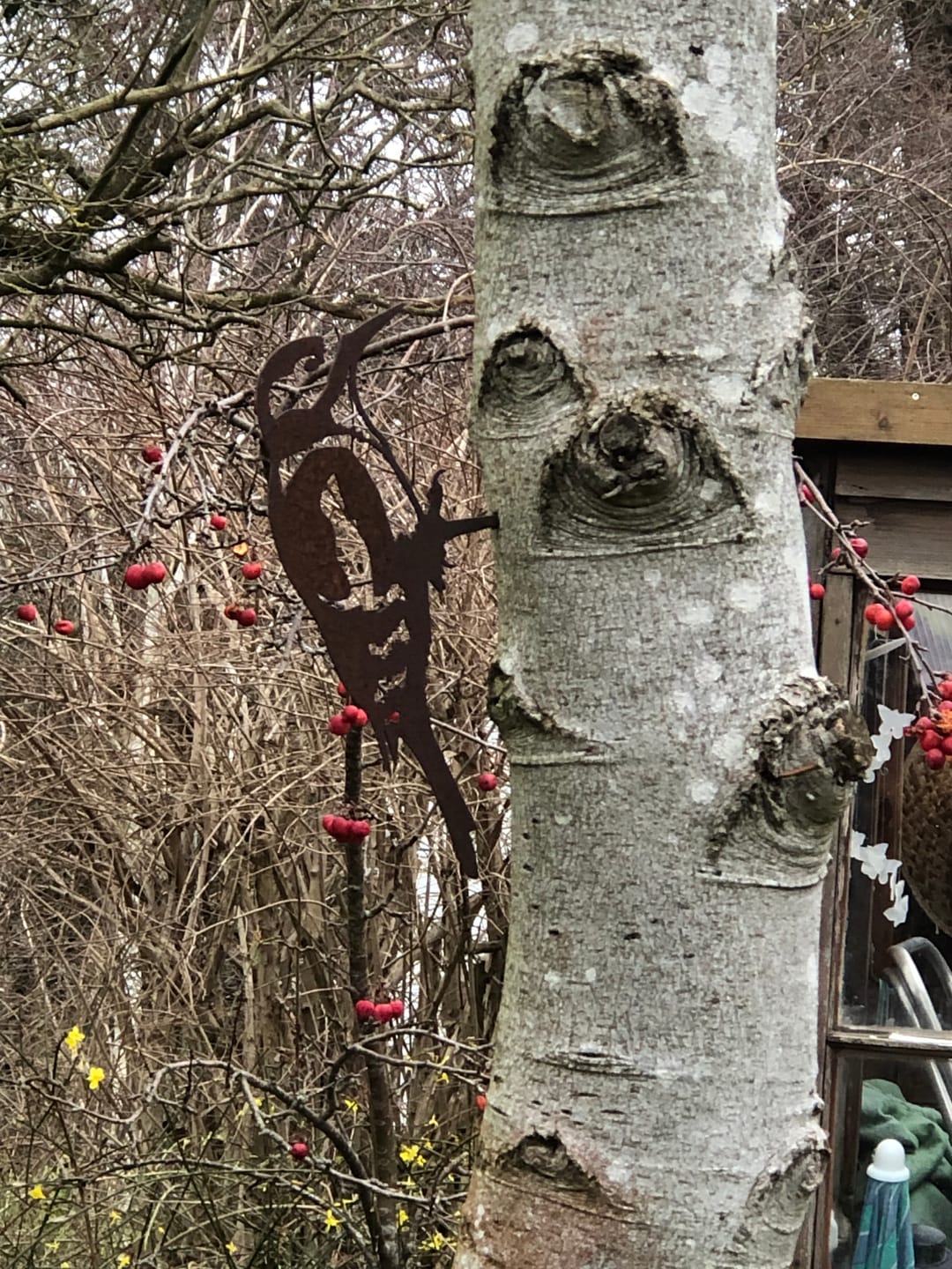 Customer photo review of Robin Pair
