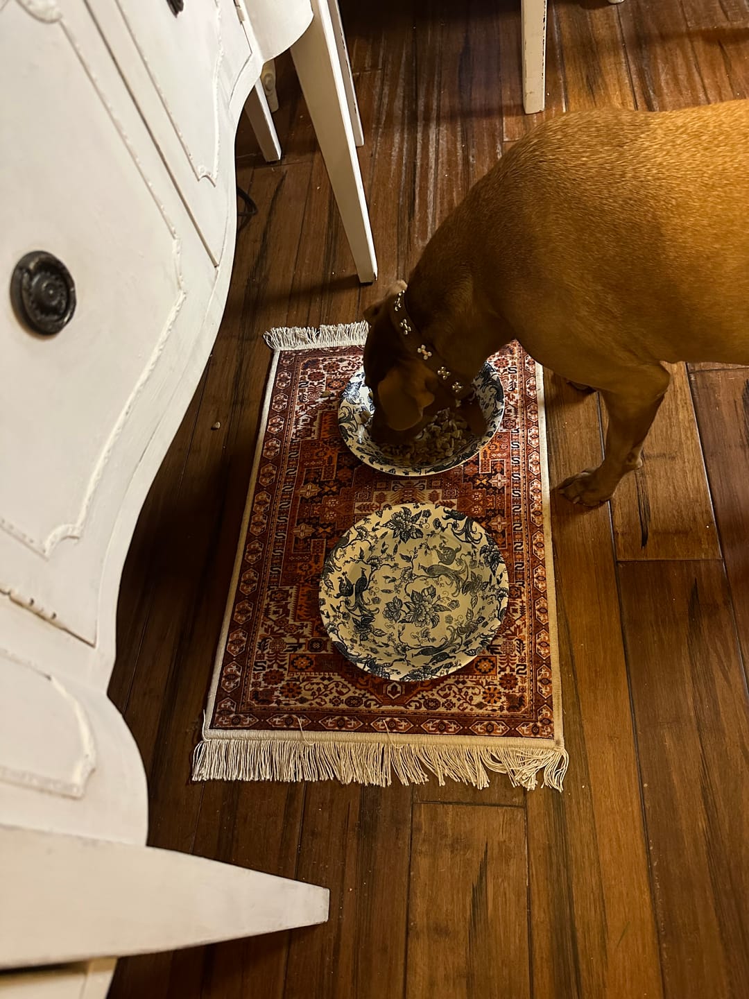 Customer photo review of Pet Placemat - Ophelia