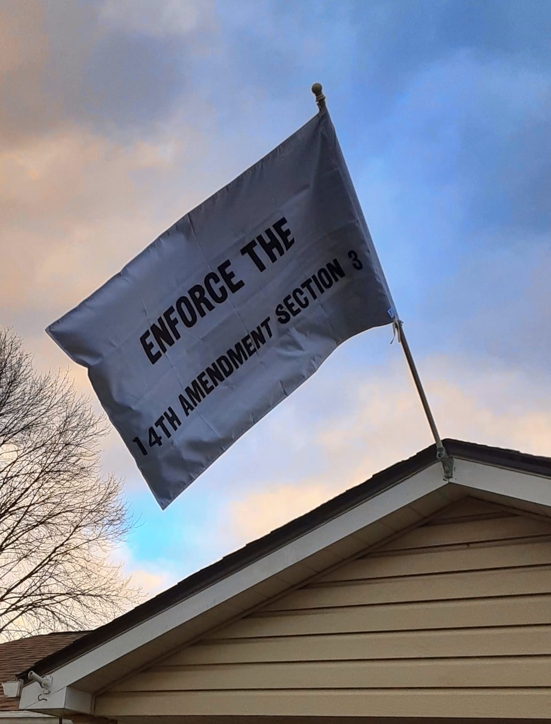 Customer photo review of Custom Standard Flags