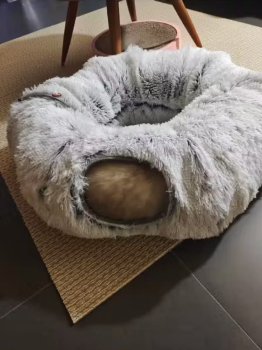 Customer photo review of 2 in 1 Tunnel Bed