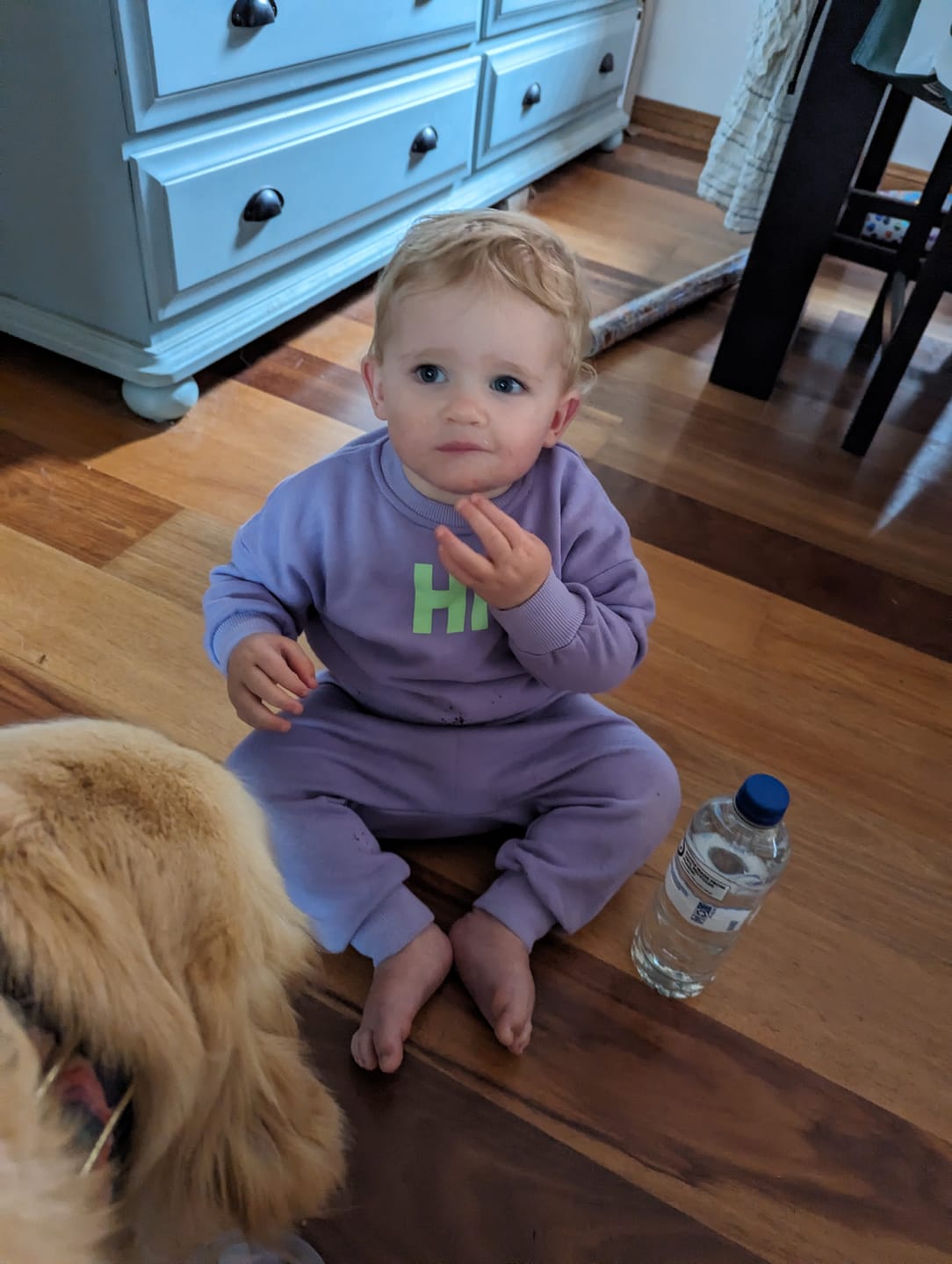 Customer photo review of Hi Winter Set