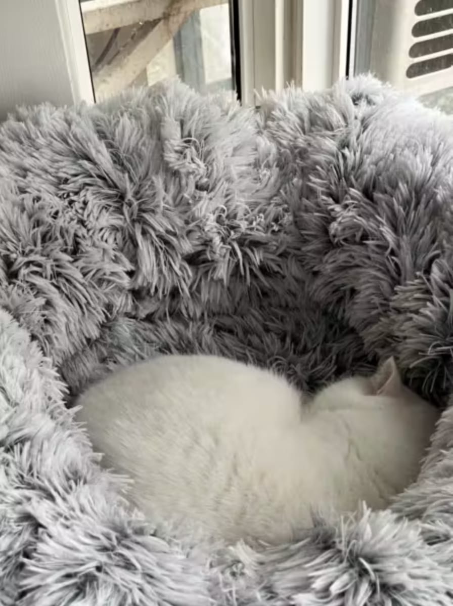 Customer photo review of 2 in 1 Tunnel Bed