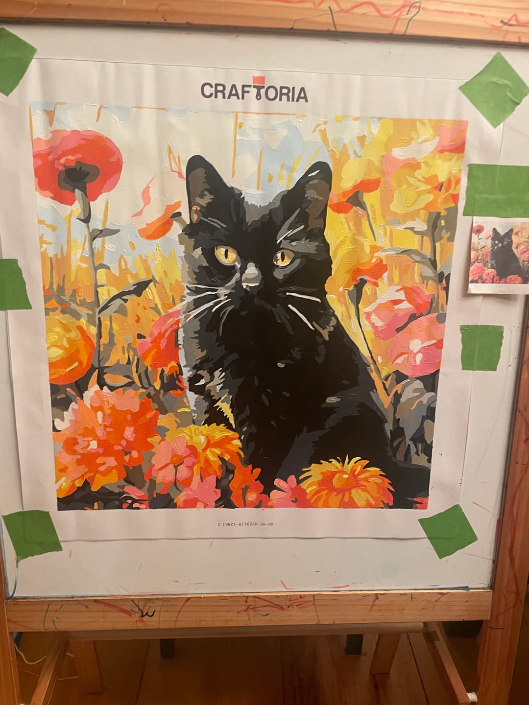 Customer photo review of Sunny Feline