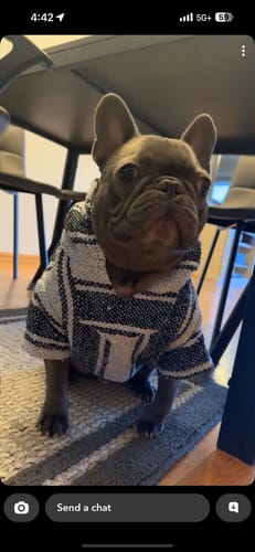 Customer photo review of Playa Poncho - Surprise Color