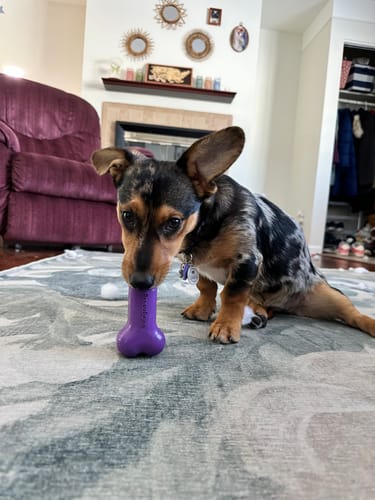 Customer photo review of Freezbone