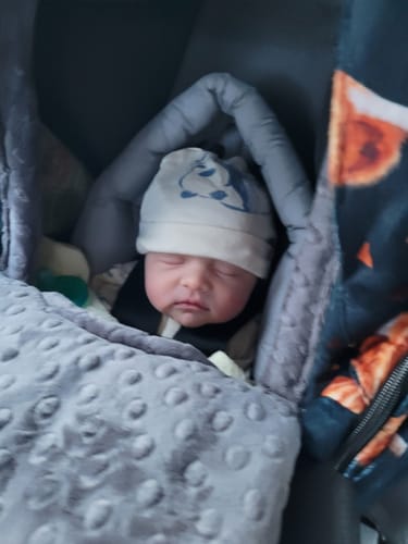 Customer photo review of Winter - Highland Cow (Grey)