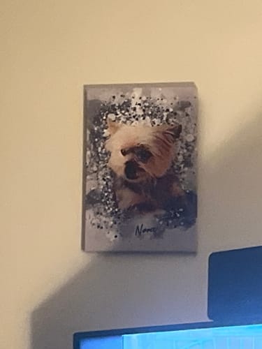 Customer photo review of Personalized Pet Art - Canvas