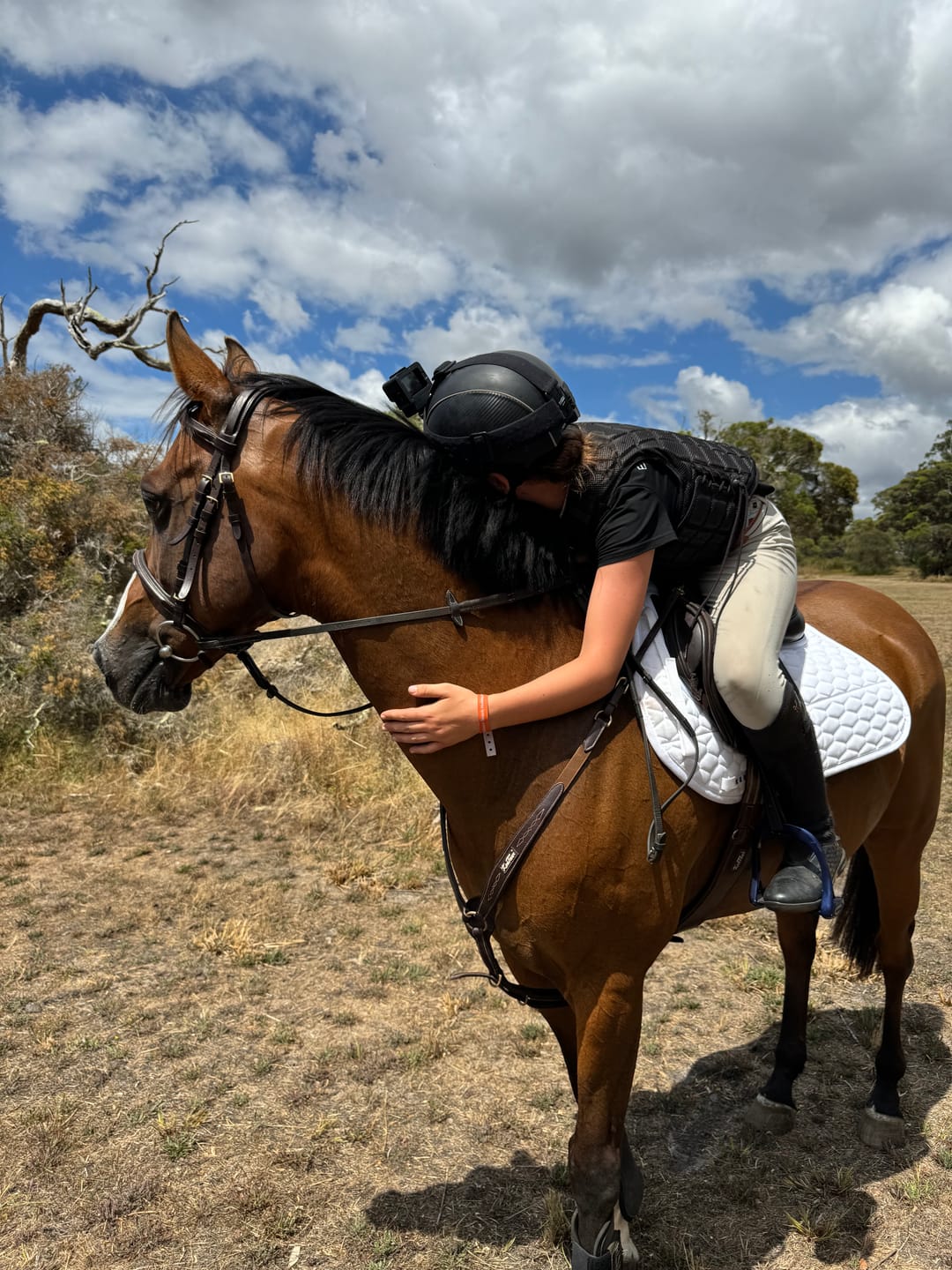 Customer photo review of Kentaur ‘Neo’ Non Slip Saddle Pad