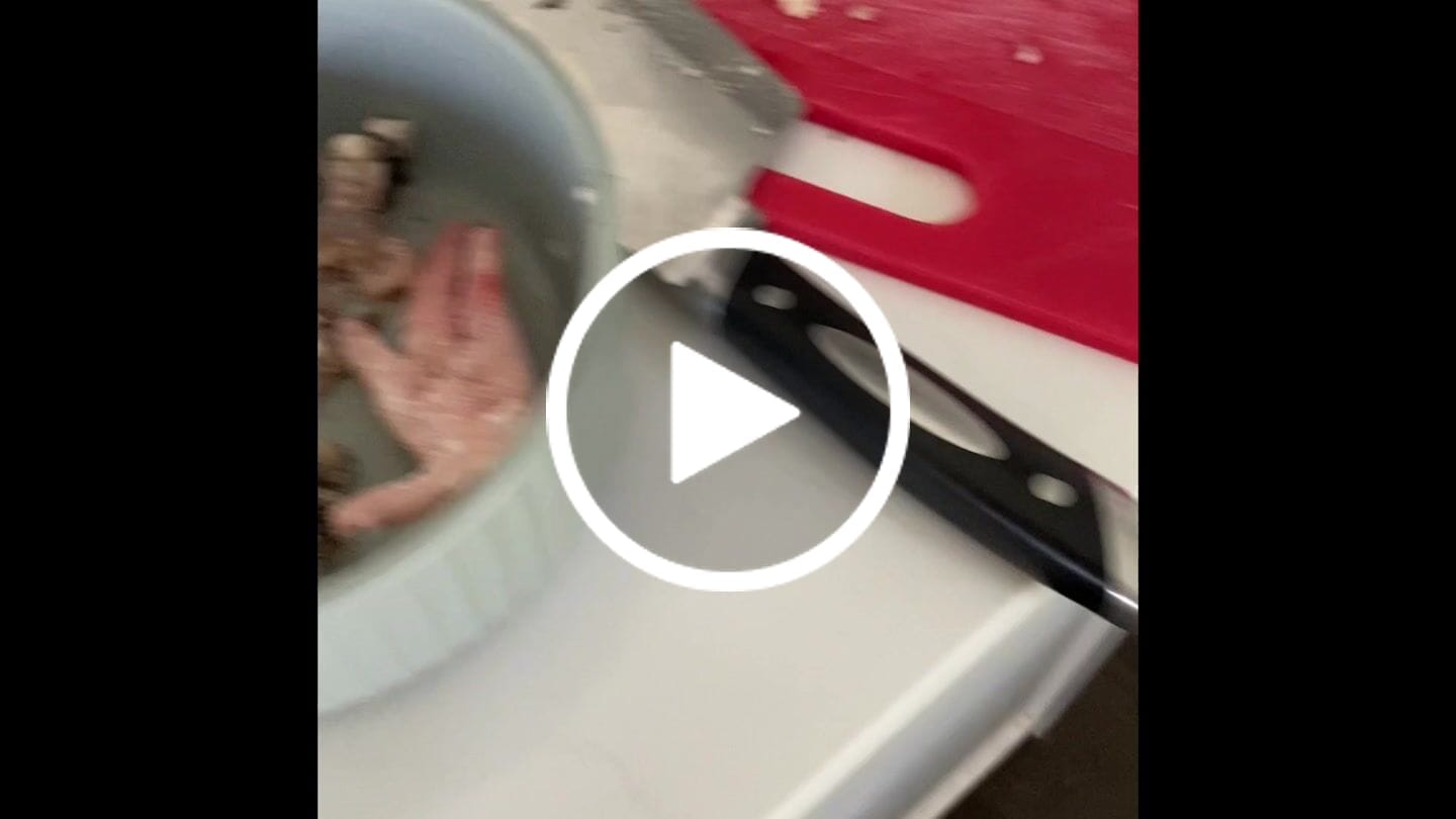 Customer video review of Primal Raw Green Tripe | Immune & Digestive Health Dogs & Cats
