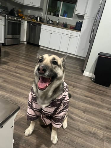 Customer photo review of Playa Poncho - Surprise Color