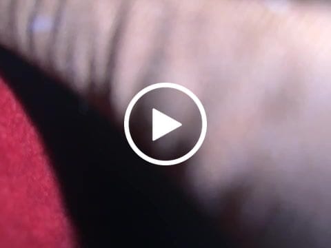 Customer video review of Luxurious Plain Hotel Pillow