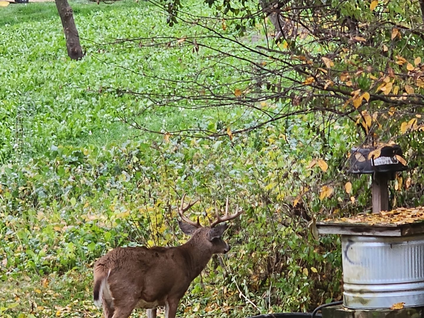 Customer photo review of COMPREHENSIVE FOOD PLOT SOIL TEST KIT