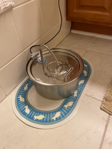 Customer photo review of Surprise Gift