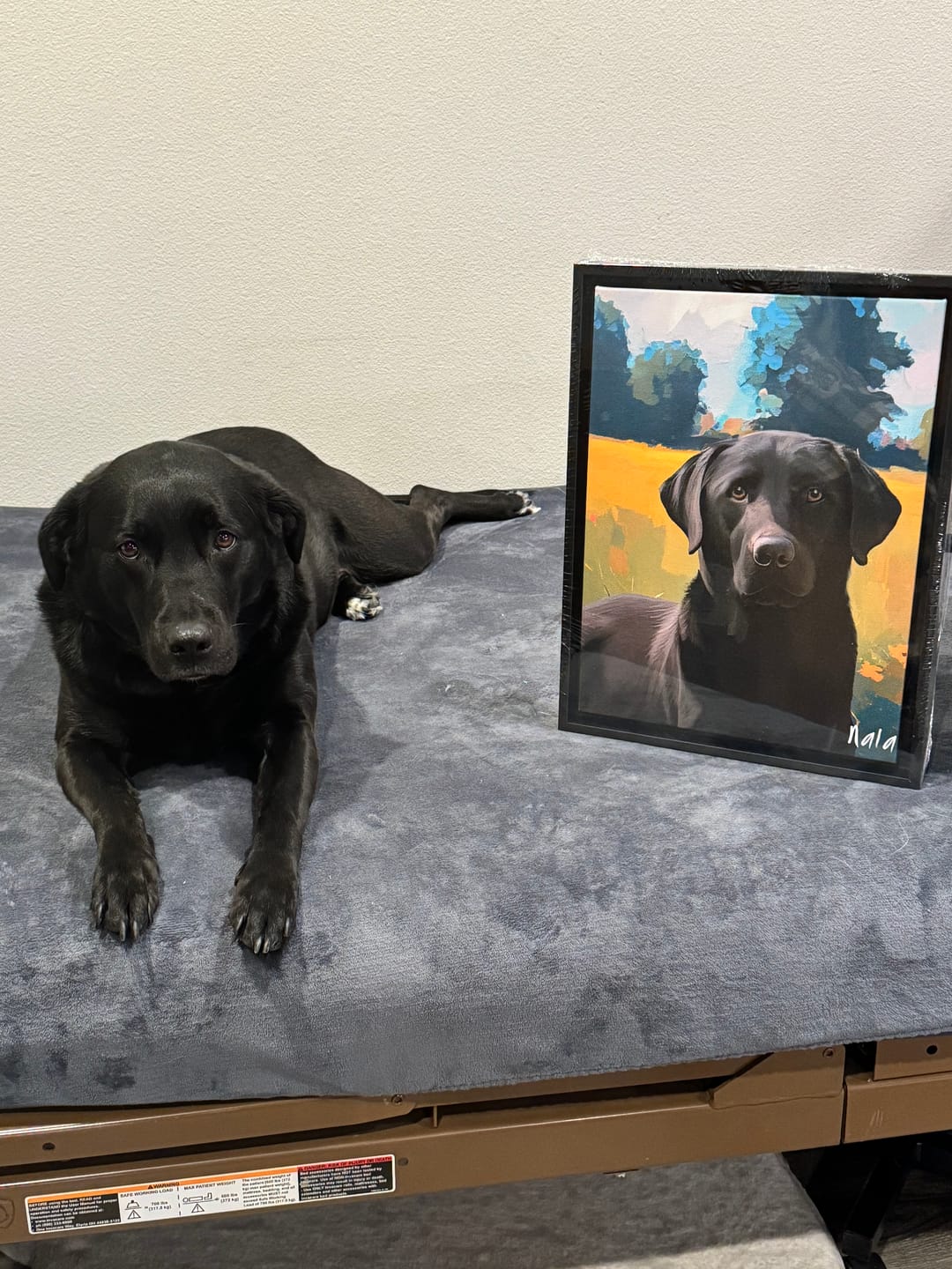 Customer photo review of Impressionist Pet Portrait - 1 Pet