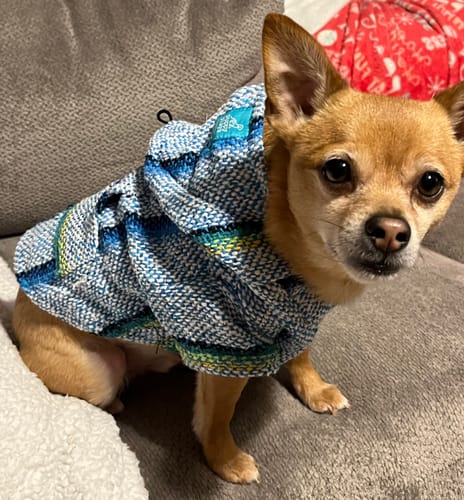 Customer photo review of Playa Poncho - Surprise Color