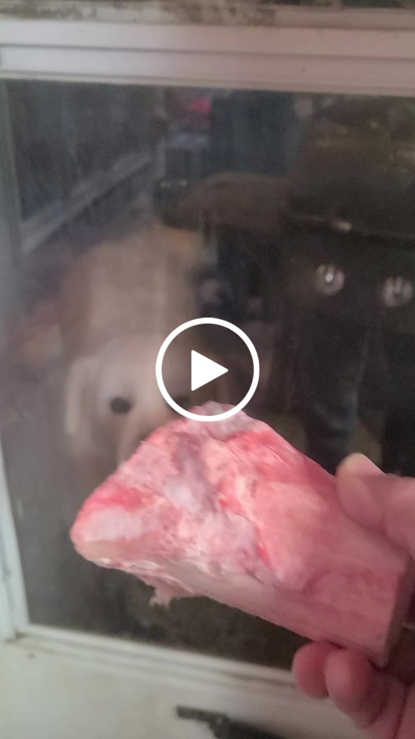 Customer video review of BEEF MARROW BONES