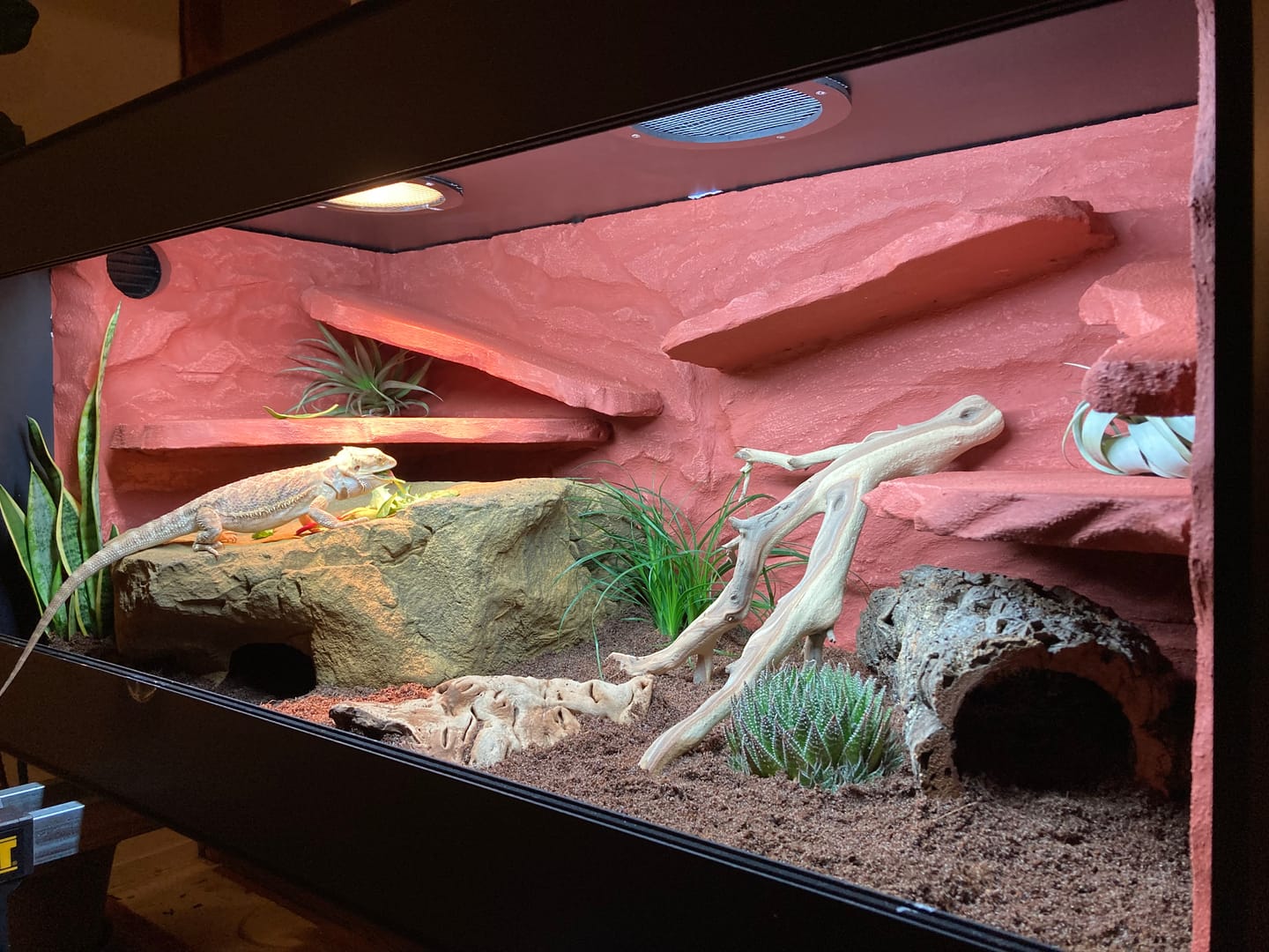 Customer photo review of 48"x24"x24" / 4'x2'x2' Premium PVC Reptile Enclosure