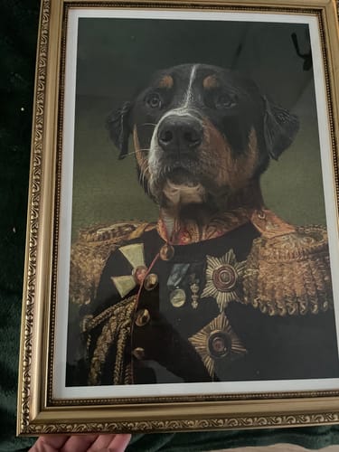 Customer photo review of The General - Custom Vintage Pet Portrait
